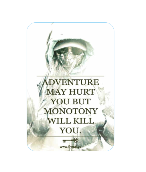 Adventure Decal