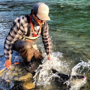 1175402_516292148450208_1551793594_n