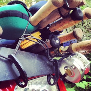 1235353_516057258473697_1261039972_n