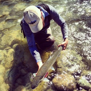 999854_504500132962743_1148903442_n