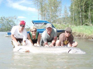 300674_191154084297351_825881421_n