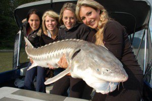 309603_191160484296711_1702183629_n