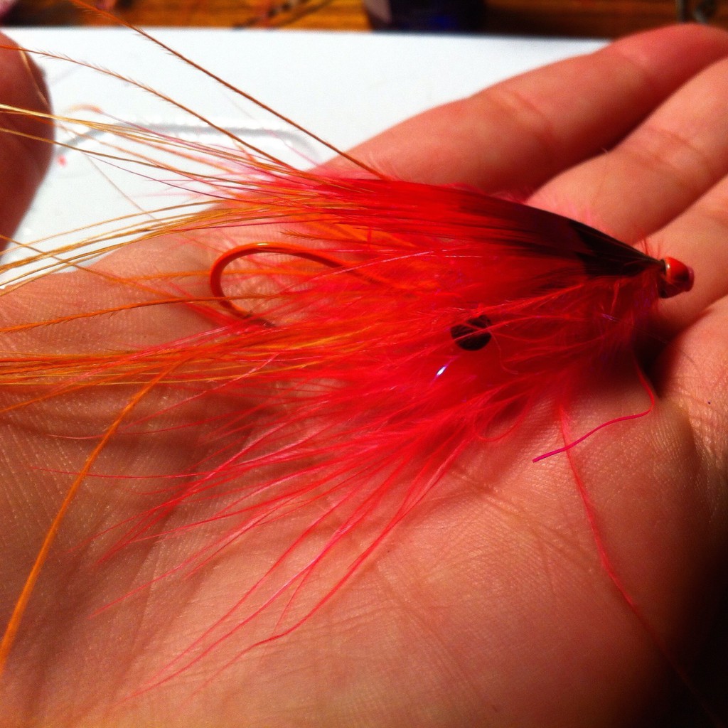 Cat prawn