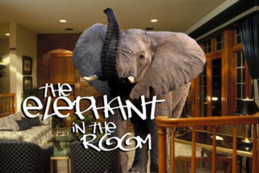 Elephant_in_the_Room